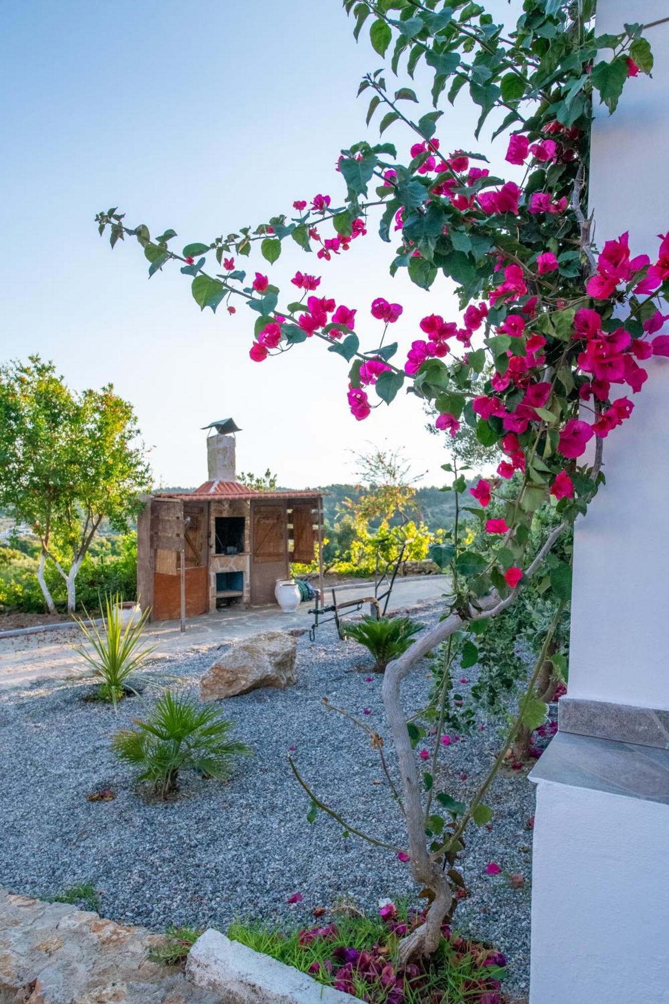 To Stolidi Tis Psinthou Villa Psinthos Exterior photo