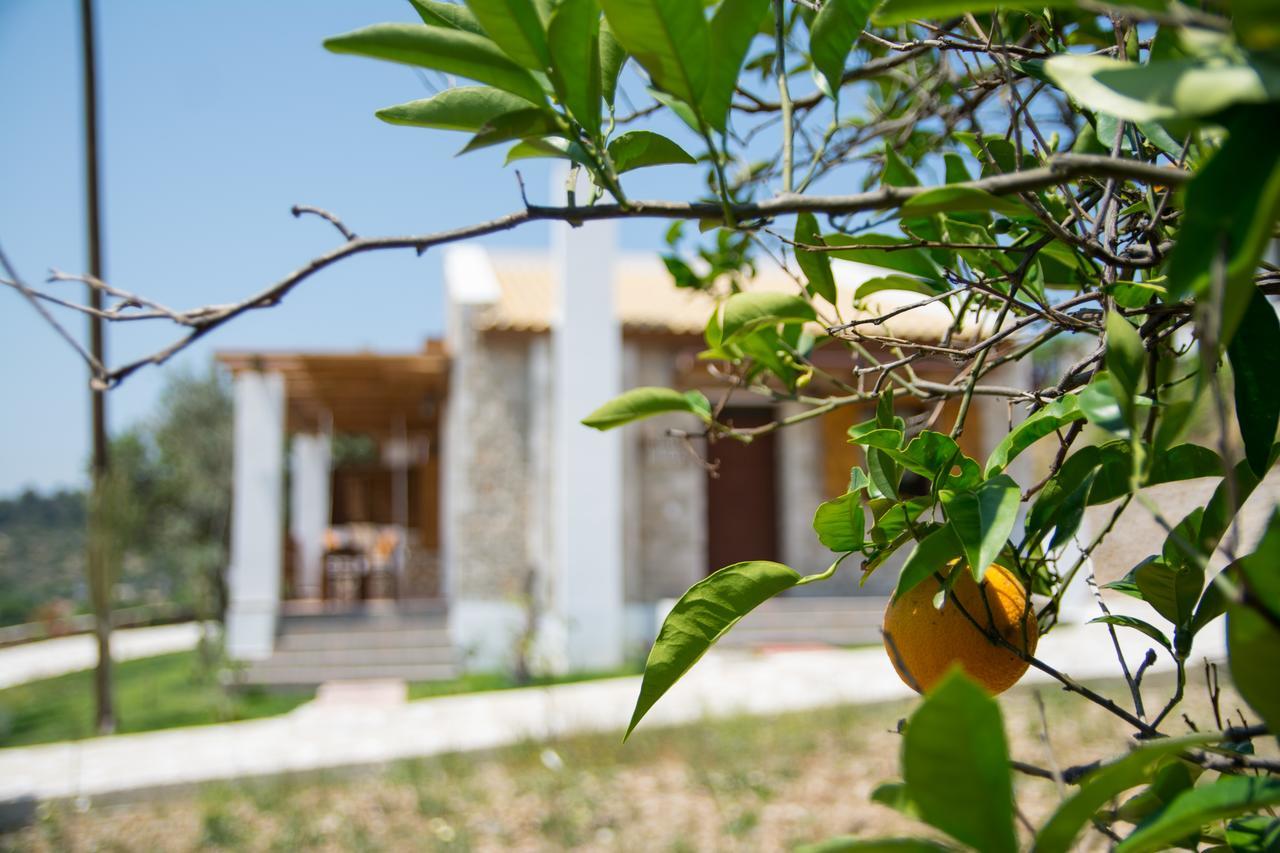 To Stolidi Tis Psinthou Villa Psinthos Exterior photo